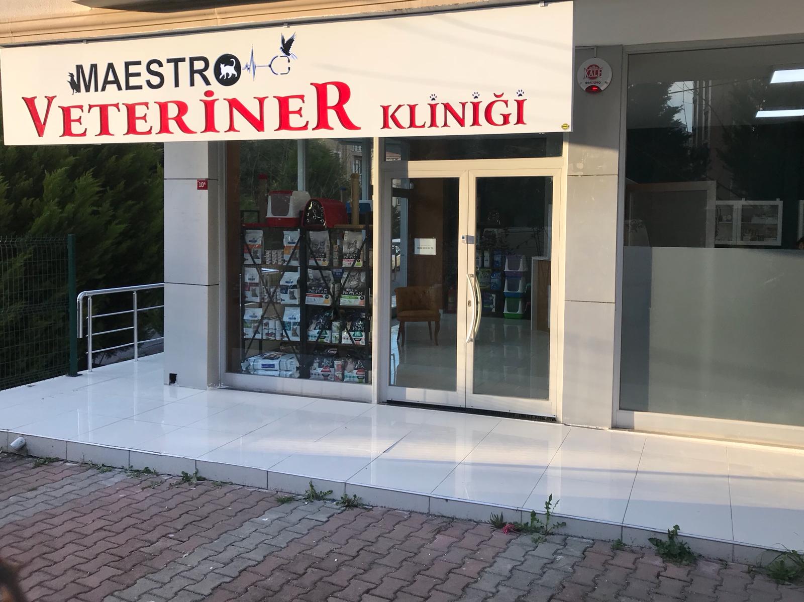 maestro veteriner klinigi maestro veteriner klinigi kucukbakkalkoy atasehir istanbul